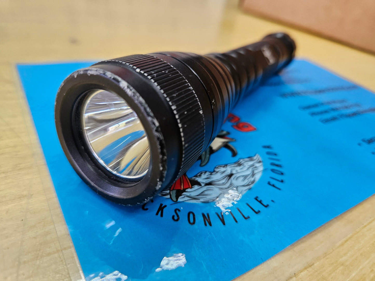 DGX LED Dive Light (800 Lumens)