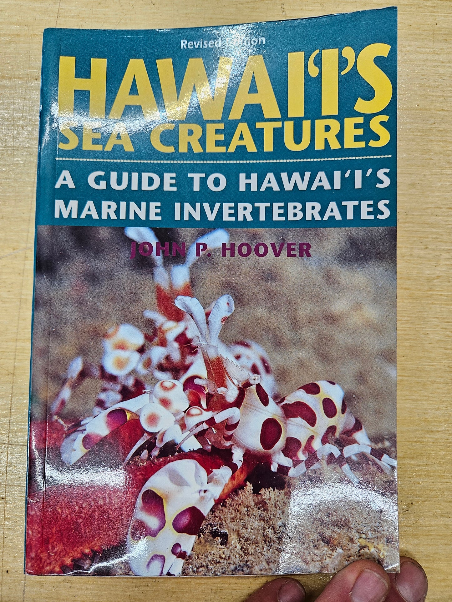 Hawaii's Sea Creatures - Book