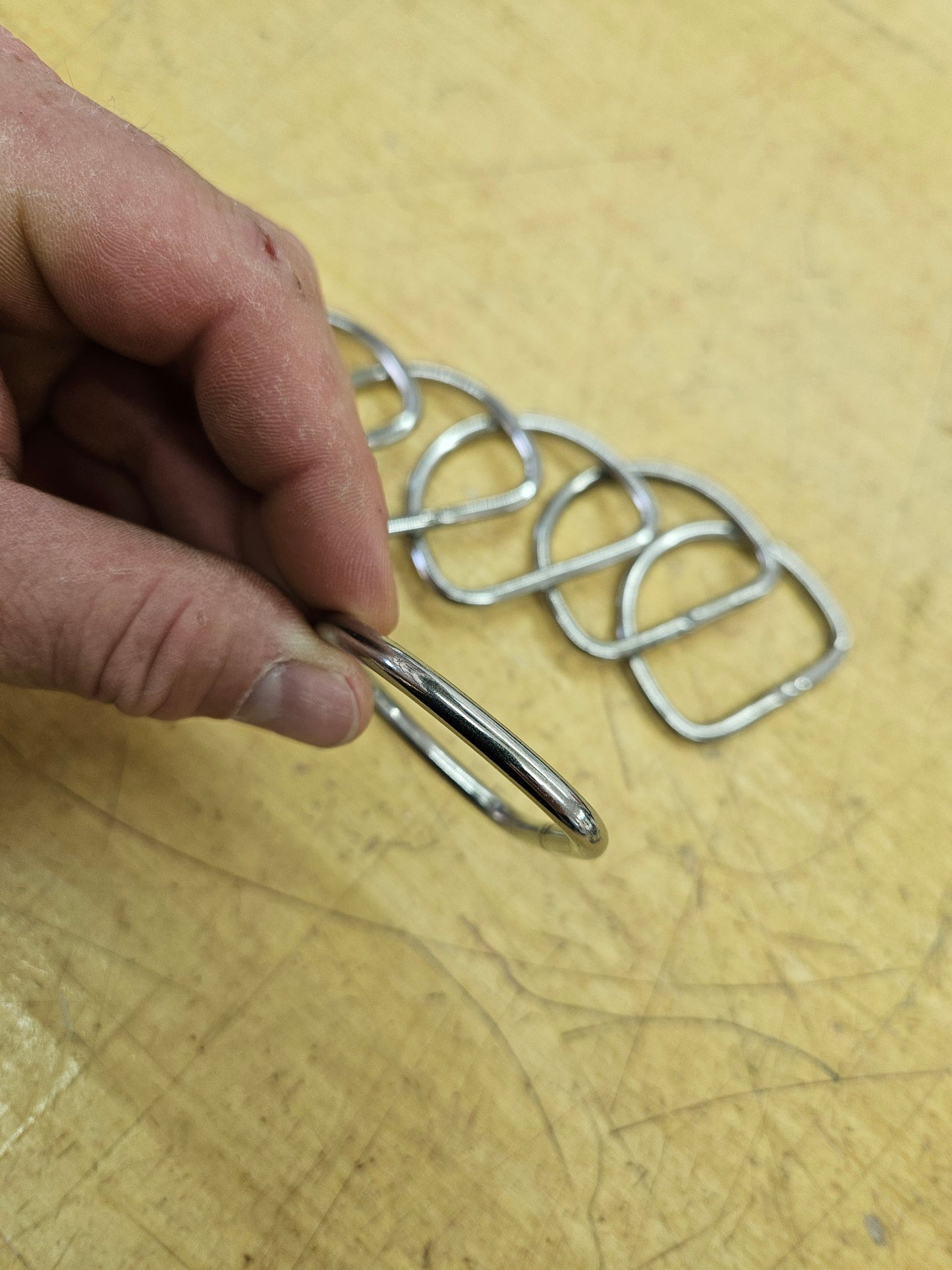 Stainless Steel D-Rings