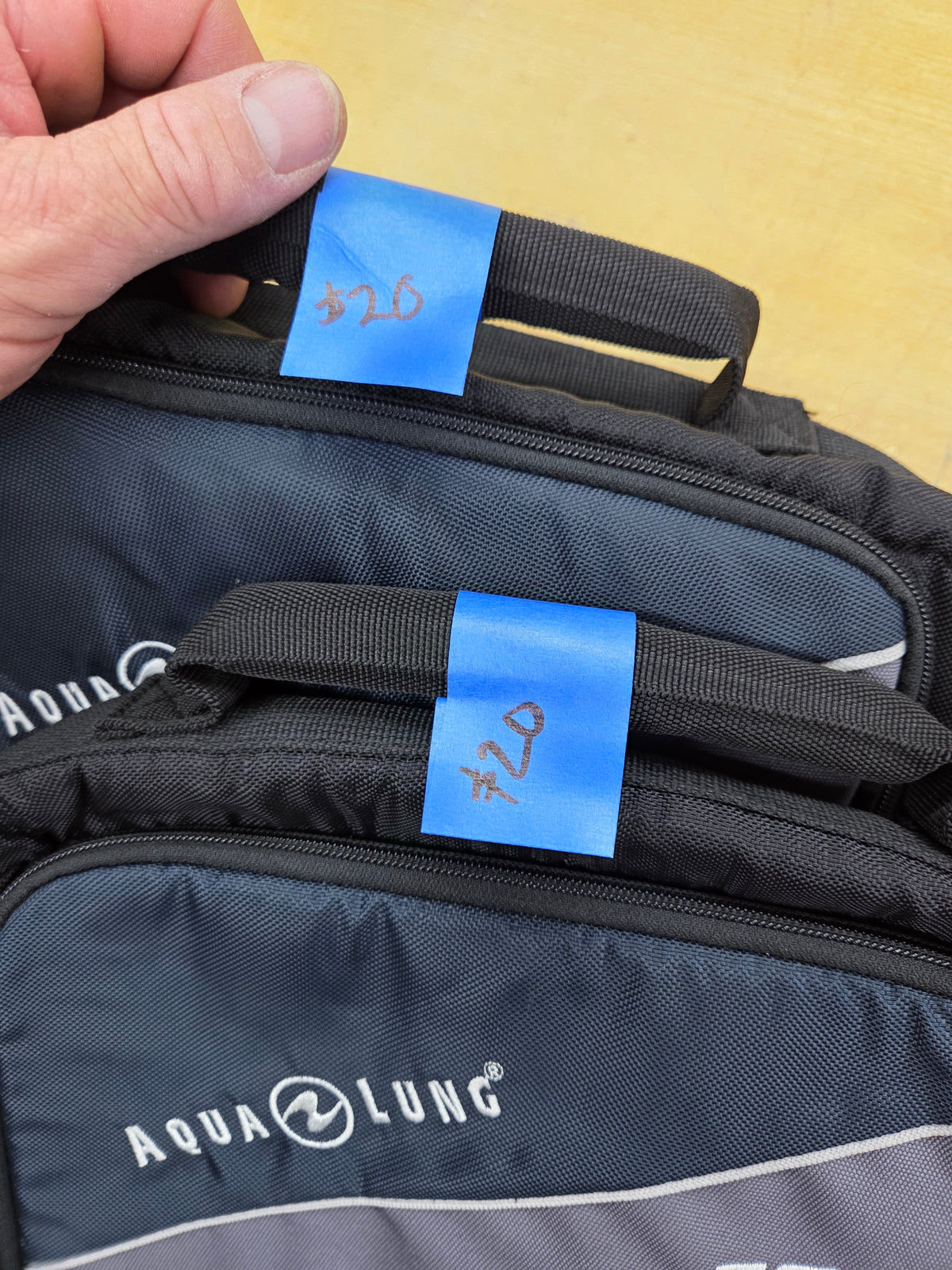 Aqualung Traveler Series Regulator Bag