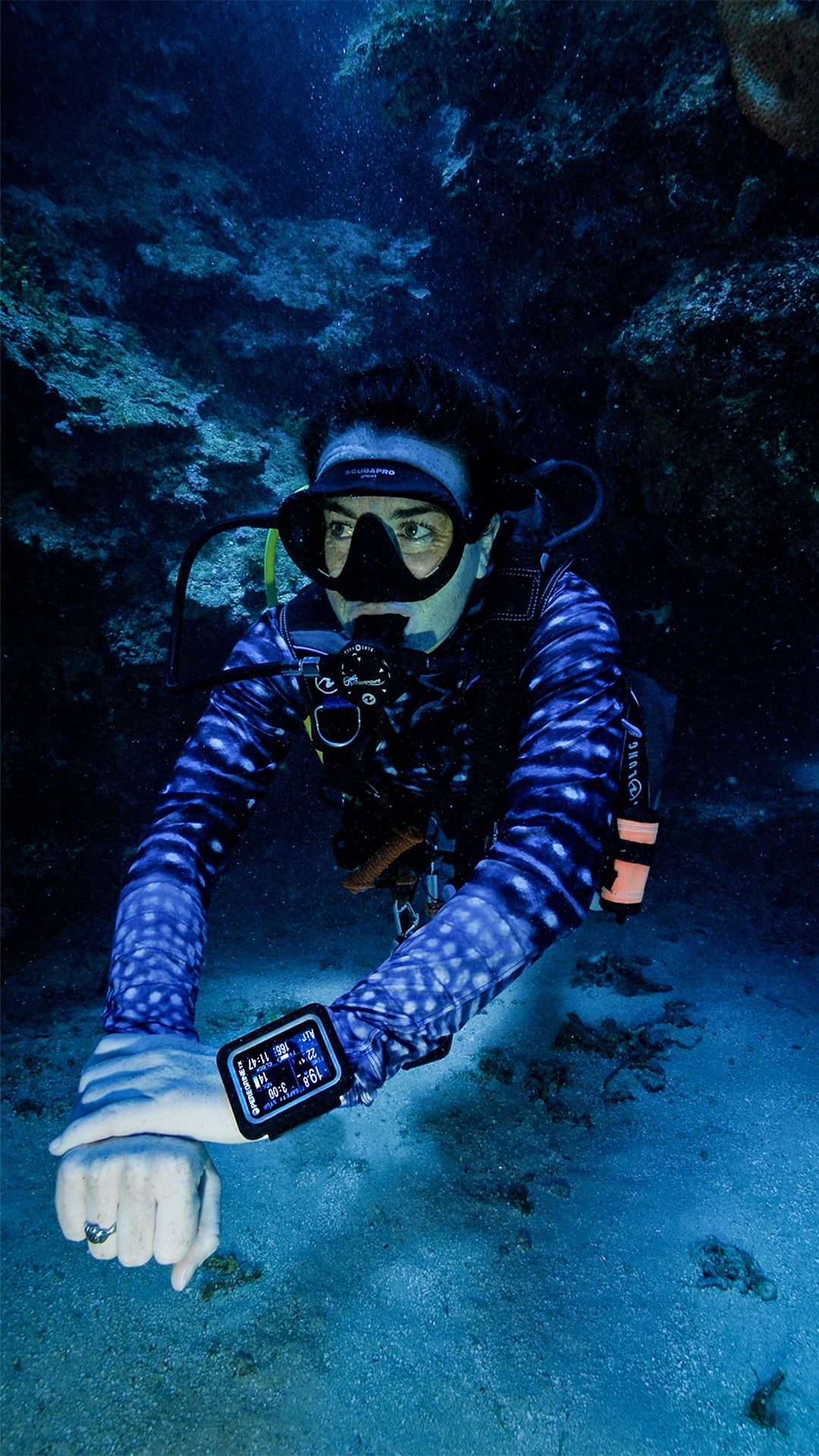 Pardela peregrina TX