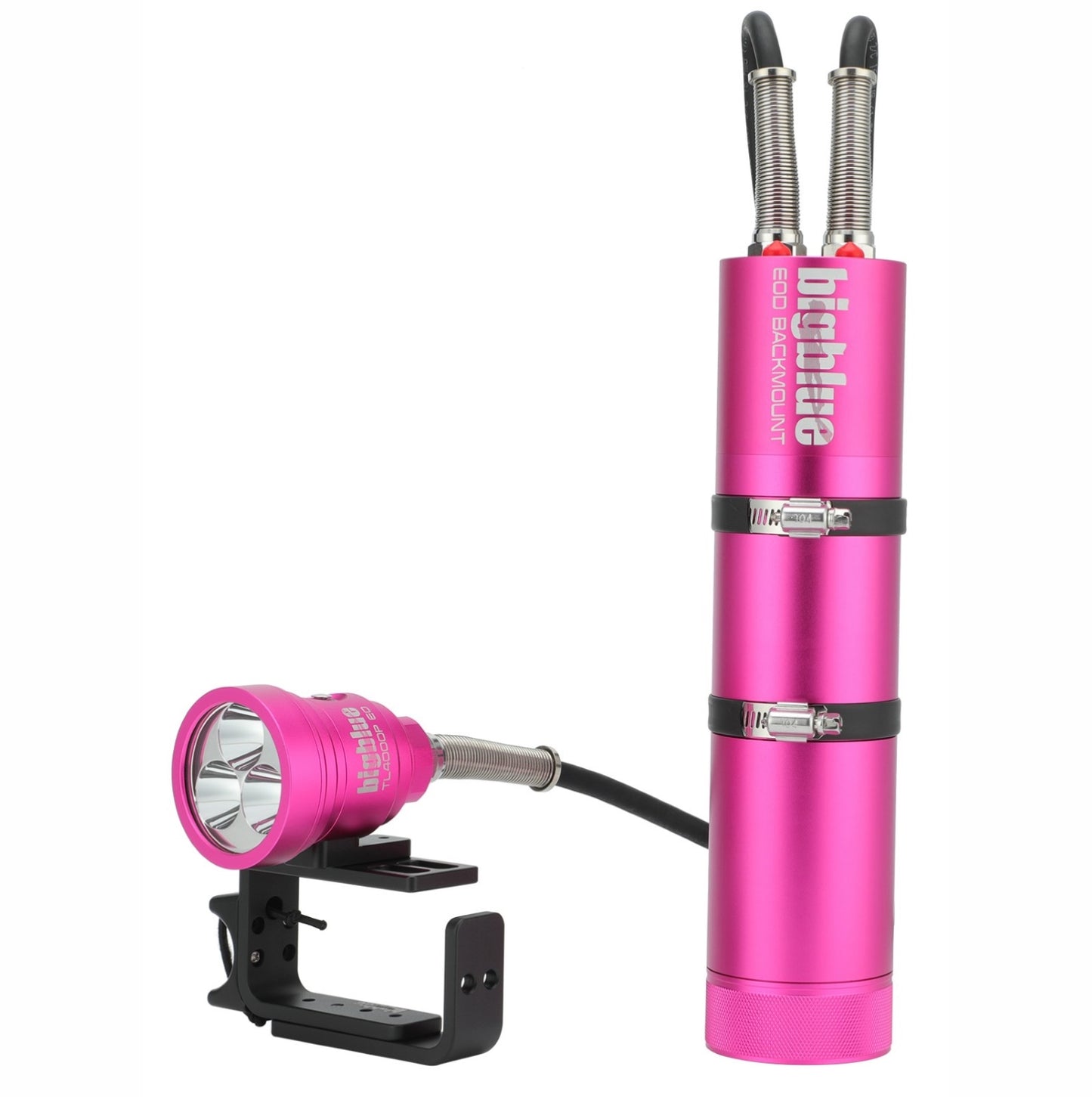 Big Blue TL4000P Tech Light - Dual Outlet Canister Light