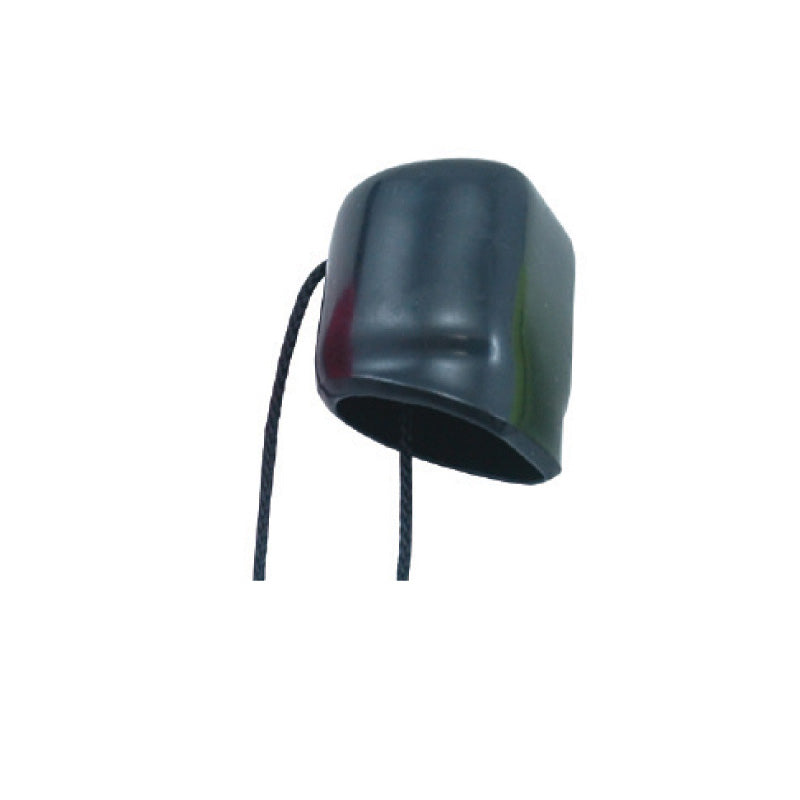 Valve Cap w/String