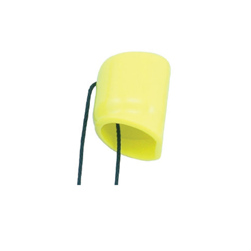 Valve Cap w/String
