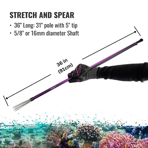 Aquatic Hunt Lionfish Pole Spear 36"