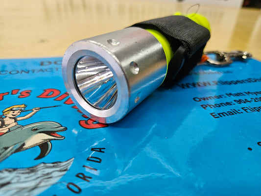 LED Dive Light