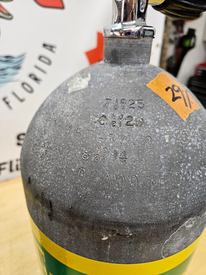 Worthington Steel HP119 Scuba Cylinders