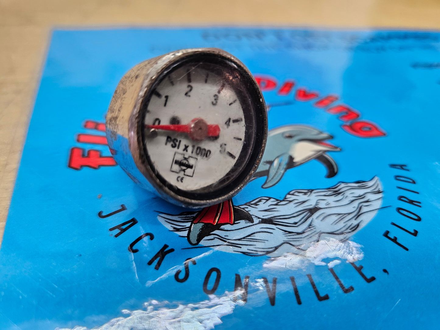 Highland Button/Pony Bottle SPG