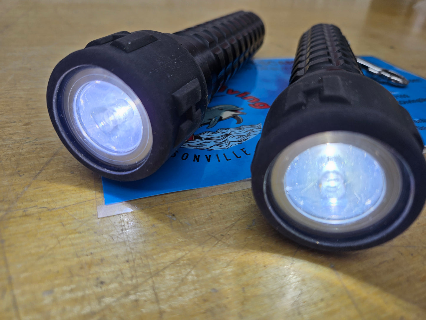 Halcyon Scout Backup Lights