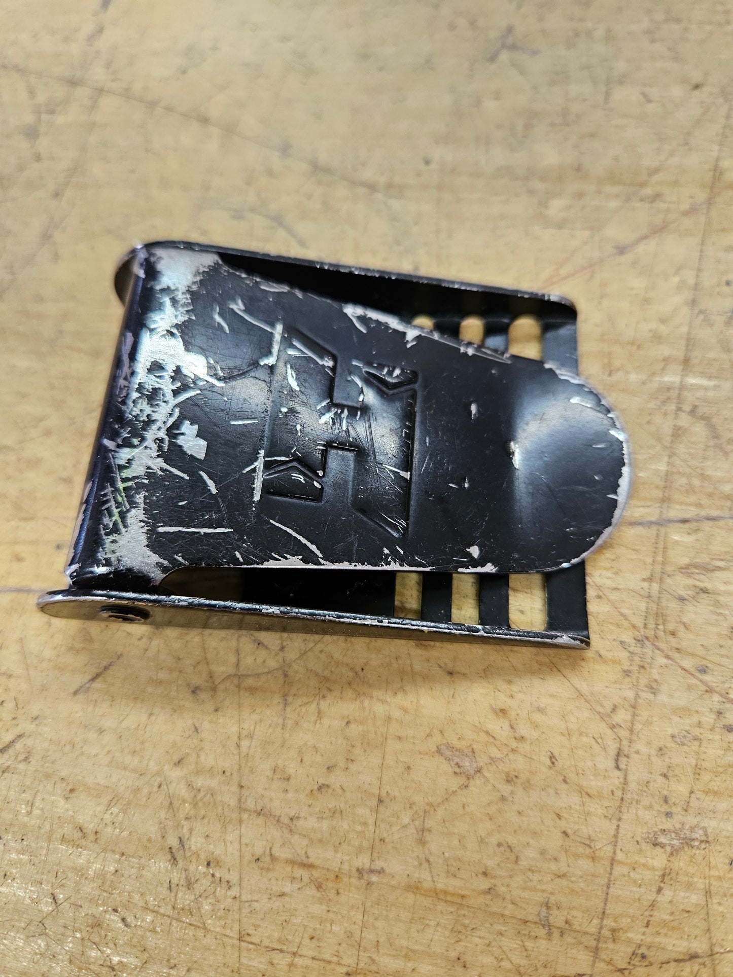 Halcyon Belt Buckle