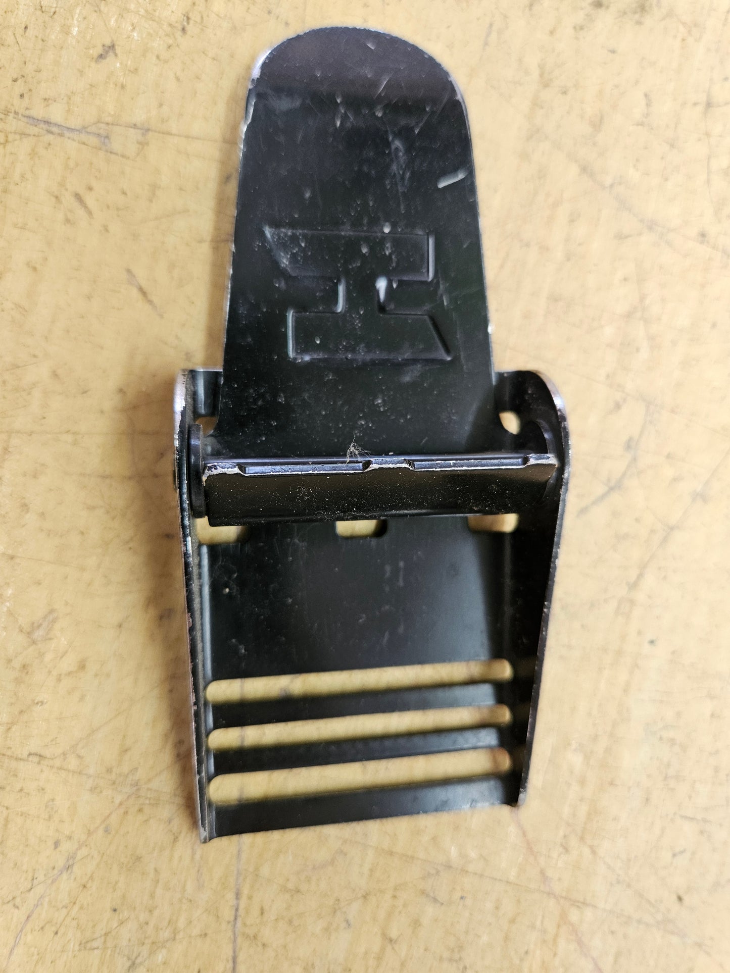 Halcyon Belt Buckle