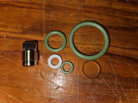 Blue Steel Valve Rebuild Kit