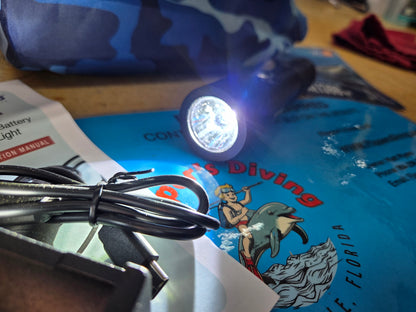 Big Blue AL1300 Dive Light (used)