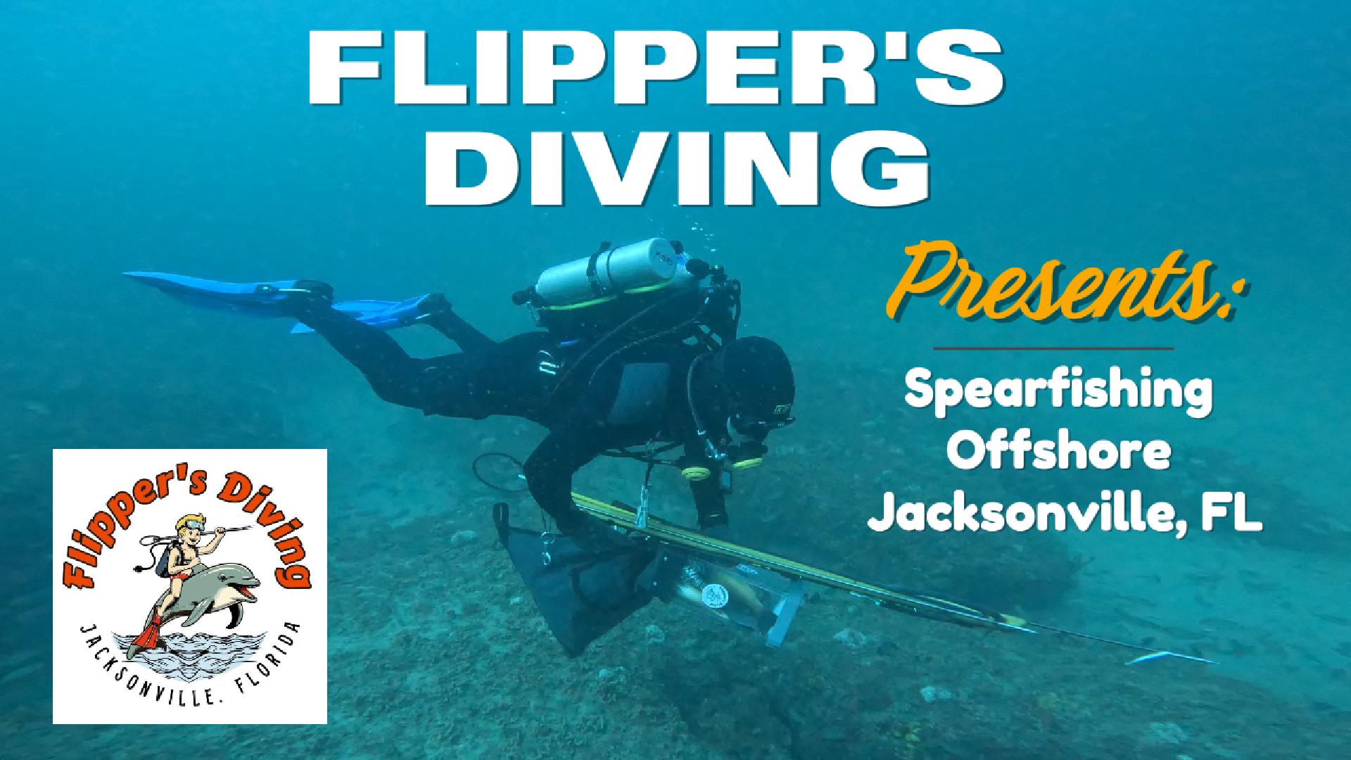 Load video: We&#39;re an authorized Dive Logic Genesis DPV dealer!  Come take spin today!