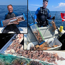 Lionfish Locker - Aquatic Hunt